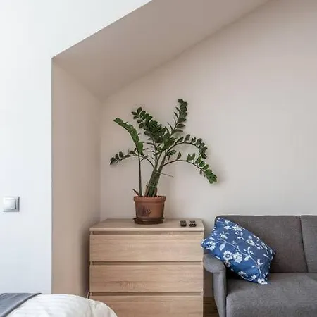 Top Location! Cozy Mansard In The Heart Of Old Appartement