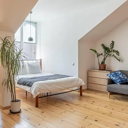 Top Location! Cozy Mansard In The Heart Of Old Appartement *