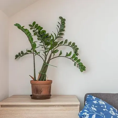 Top Location! Cozy Mansard In The Heart Of Old Appartement Riga